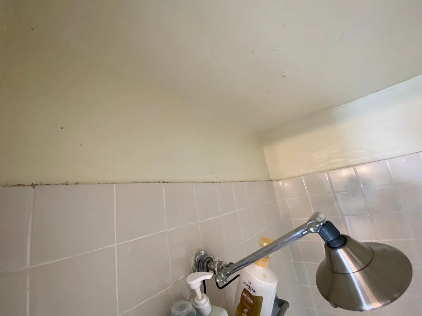 Dark mildew growth along the caulk seam where shower tile meets the wall — typical early-stage bathroom mold.