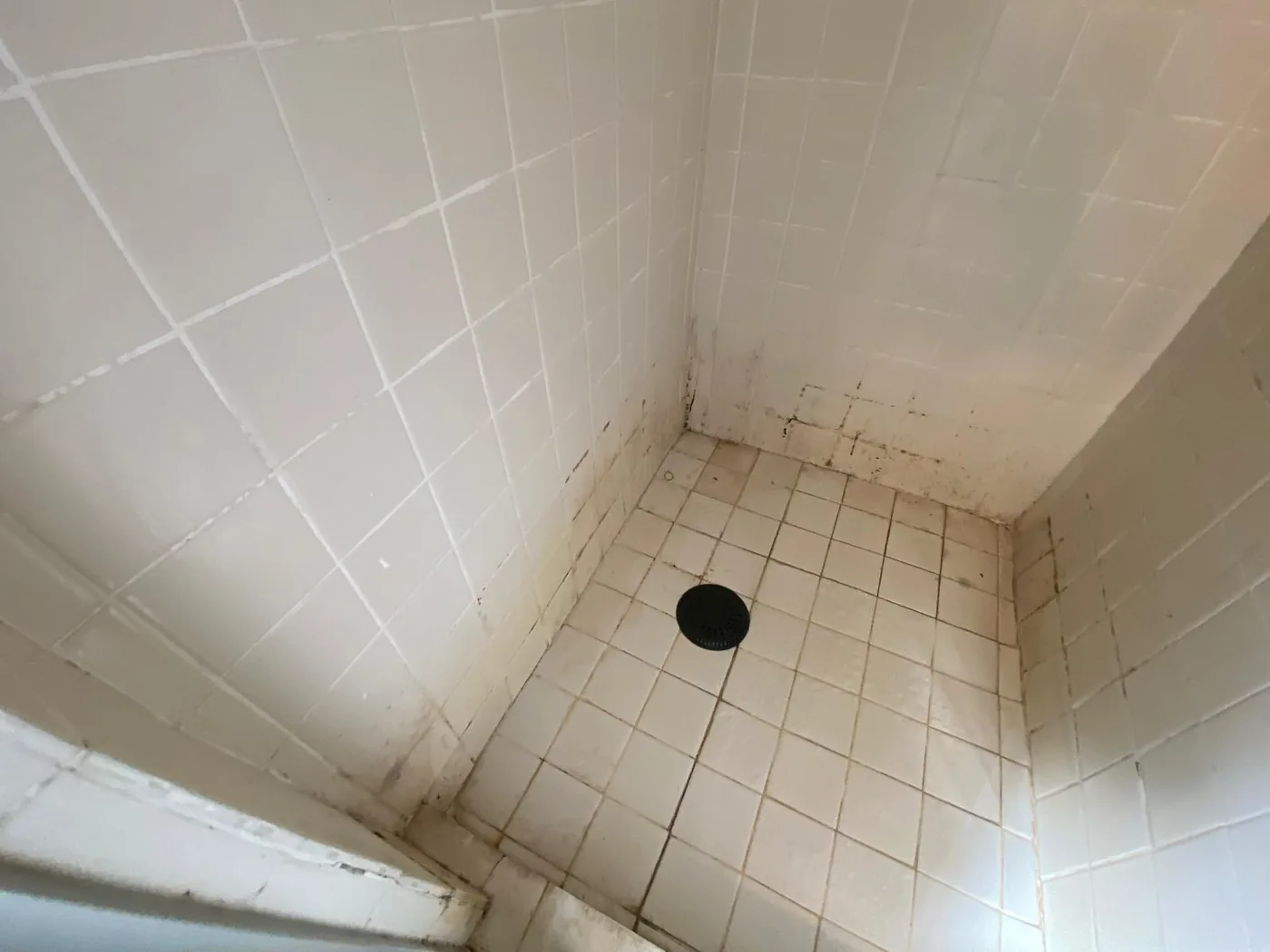 Dark speckled growth along the grout and caulk joints of a residential shower floor.